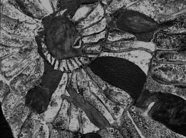 on the cusp of (series)