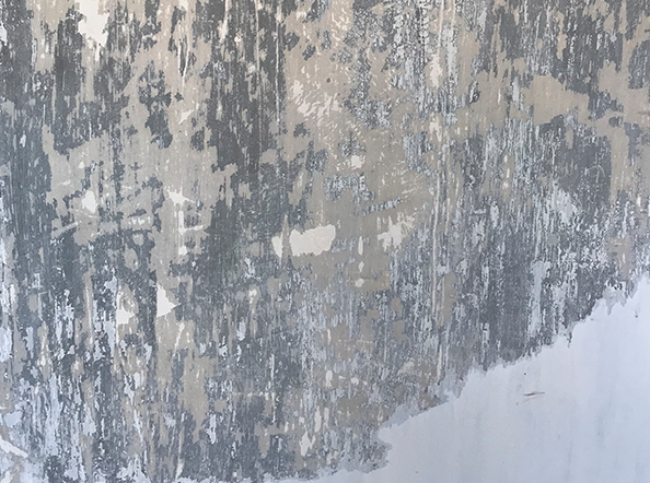 Form Studies Photographs