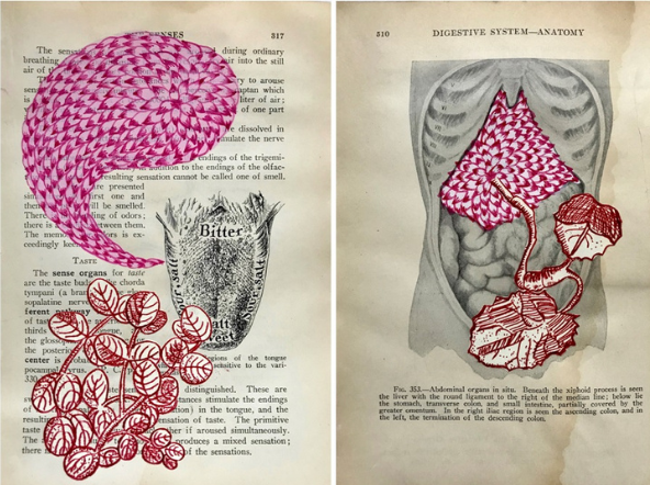 The Play of the Divine Trickster