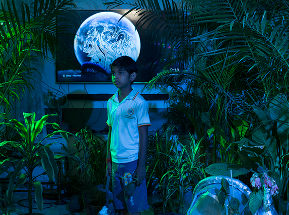 An Elegy for Ecology - 5 (Kolkata, West Bengal, India)