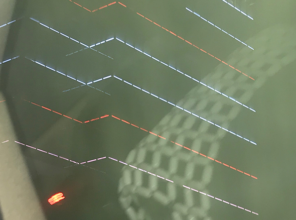 Form Studies Photographs