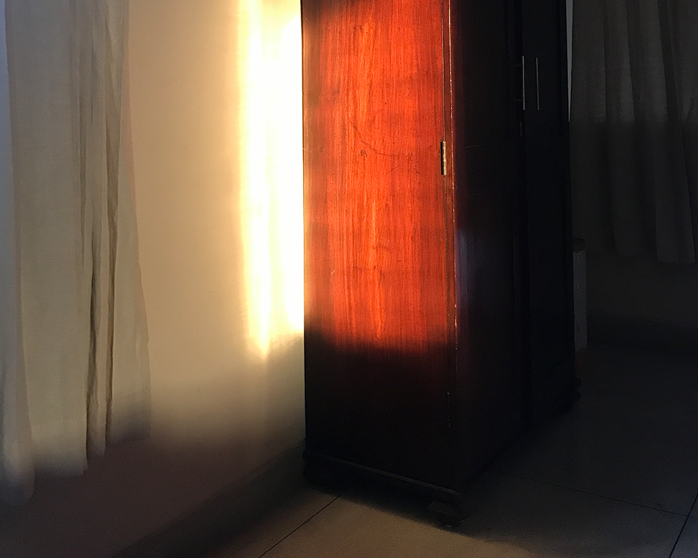 Form Studies Photographs