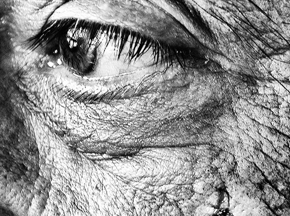 On Earth We Are Briefly Gorgeous