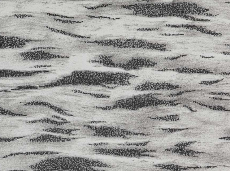 a day in making (Set 12)