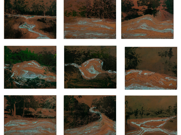 Some parts from the saal forest