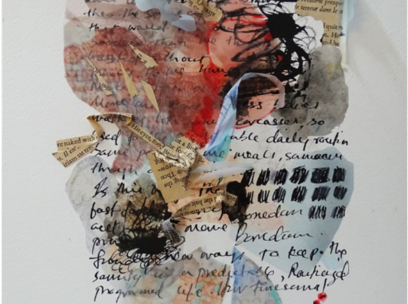 Debris Collector Series 1-VI