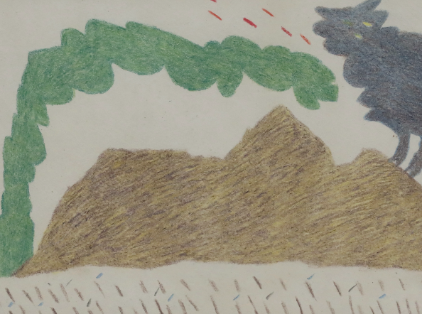 Animal & Tree