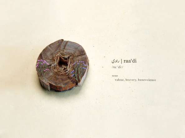 Disabled Dictionary: South Asia Edition 'र' (Speech therapist approved) - T5 Raa’di,